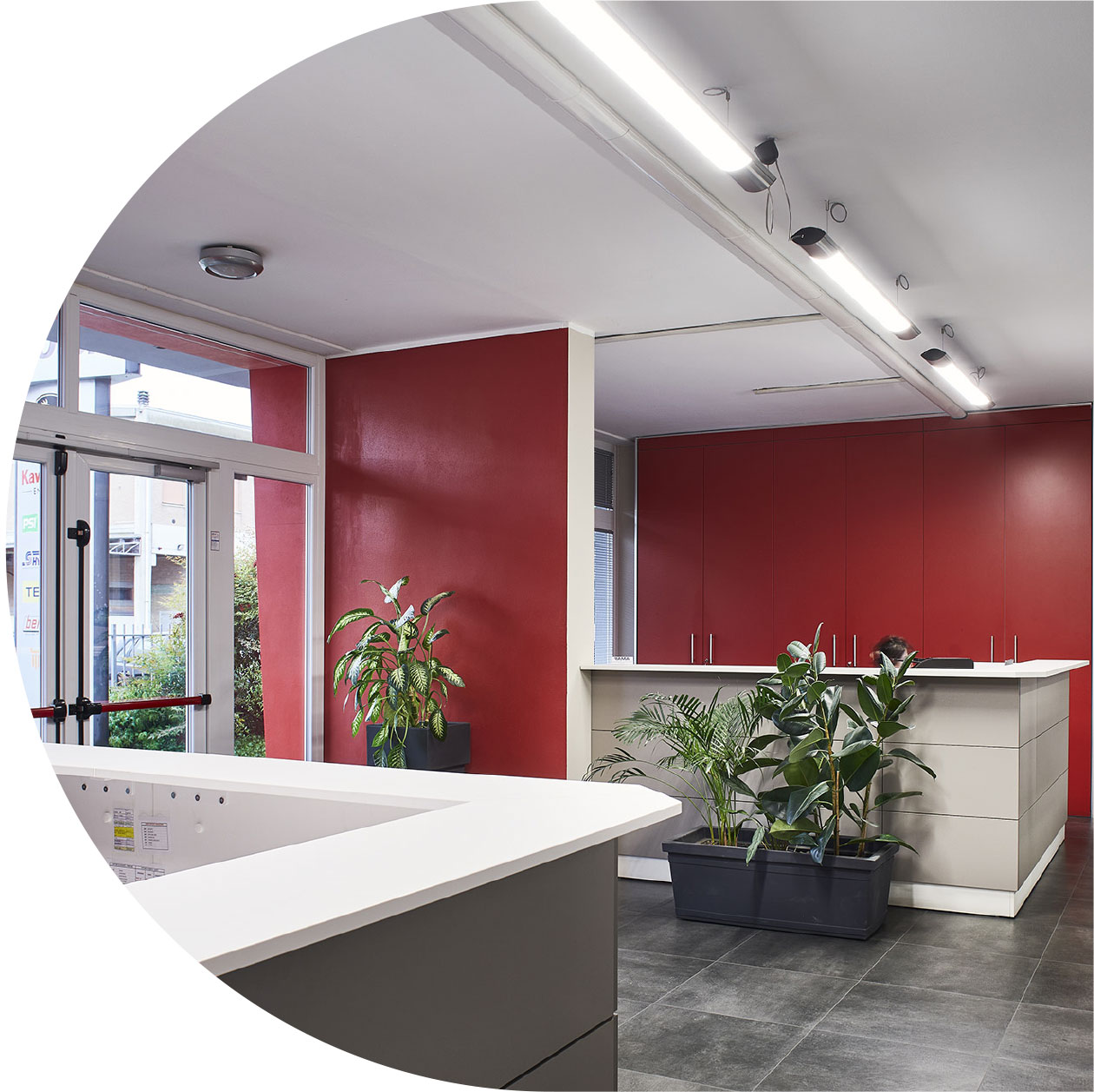 Empfangsbereich mit roter Wand, Tresen und Pflanzen im Rama Motori Showroom (Schweiz)